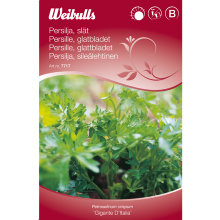 Frö Persilja Slätbladig 'Gigante d`Italia' Weibulls